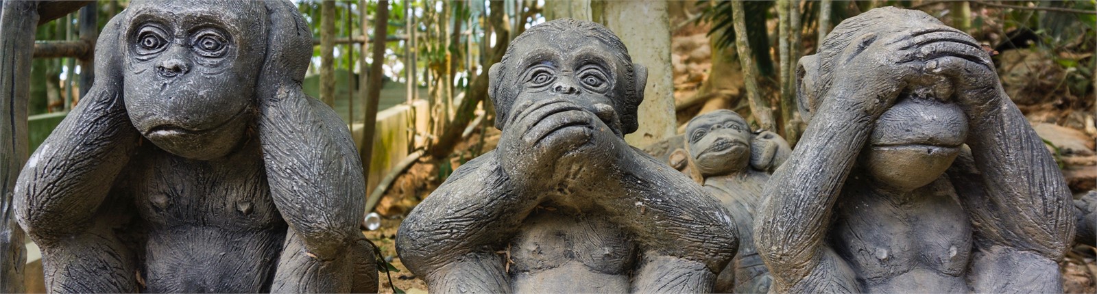 Drei Affen halten sich Augen, Ohren bzw. Mund zu.